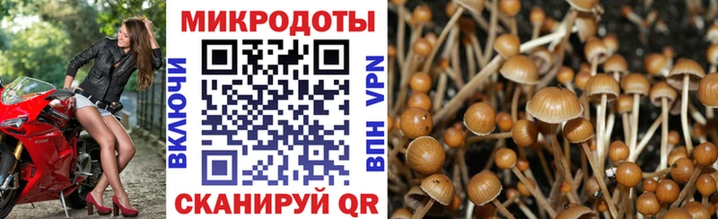 Псилоцибиновые грибы Magic Shrooms  мега вход  Белая Холуница  купить наркоту 