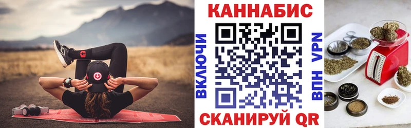 Бошки марихуана сатива  магазин продажи наркотиков  Белая Холуница 